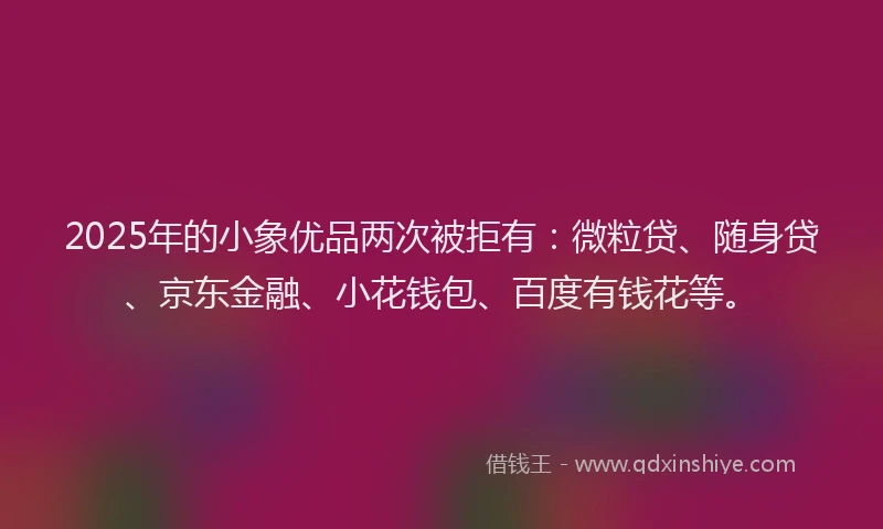 2025年的小象优品两次被拒有：微粒贷、随身贷、京东金融、小花钱包、百度有钱花等。