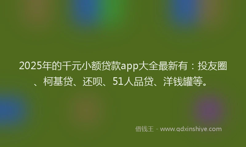 2025年的千元小额贷款app大全最新有：投友圈、柯基贷、还呗、51人品贷、洋钱罐等。