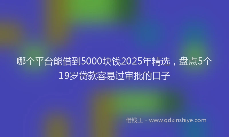 哪个平台能借到5000块钱2025年精选，盘点5个19岁贷款容易过审批的口子