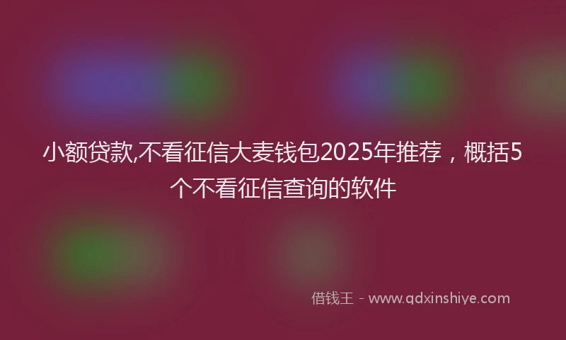 小额贷款,不看征信大麦钱包2025年推荐，概括5个不看征信查询的软件