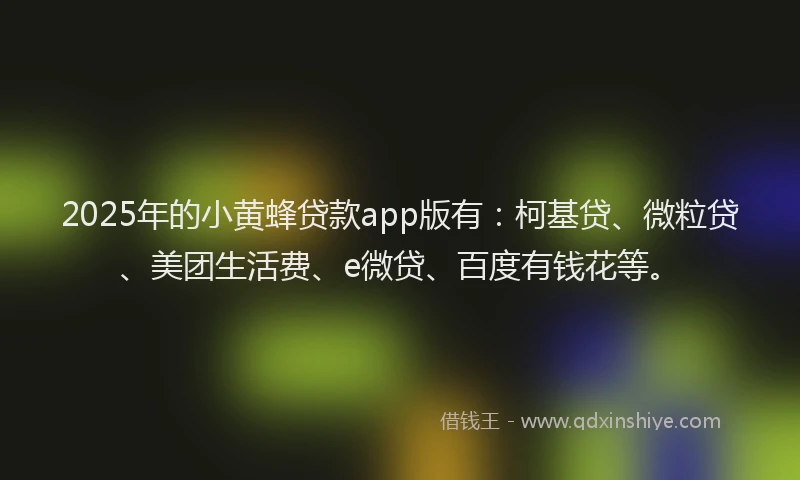 2025年的小黄蜂贷款app版有：柯基贷、微粒贷、美团生活费、e微贷、百度有钱花等。
