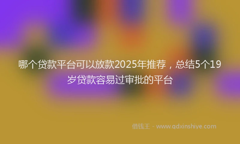 哪个贷款平台可以放款2025年推荐，总结5个19岁贷款容易过审批的平台