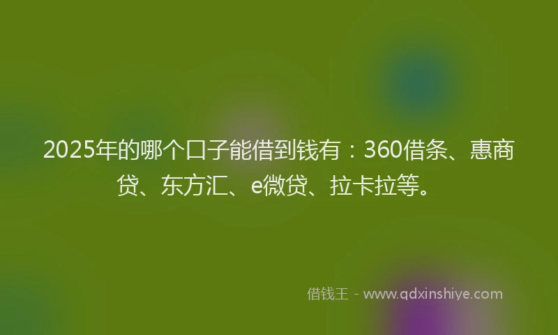 2025年的哪个口子能借到钱有：360借条、惠商贷、东方汇、e微贷、拉卡拉等。