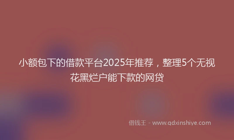 小额包下的借款平台2025年推荐，整理5个无视花黑烂户能下款的网贷