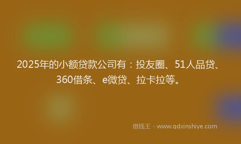 2025年的小额贷款公司有：投友圈、51人品贷、360借条、e微贷、拉卡拉等。