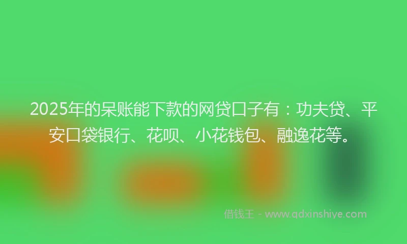 2025年的呆账能下款的网贷口子有：功夫贷、平安口袋银行、花呗、小花钱包、融逸花等。