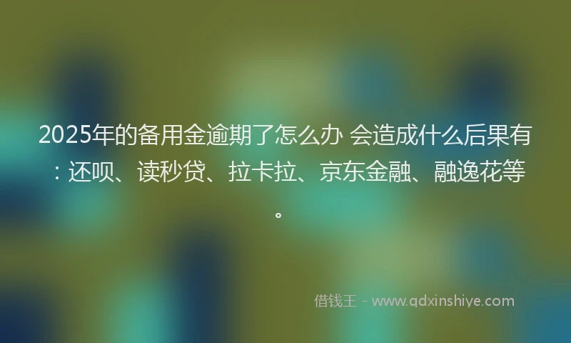 2025年的备用金逾期了怎么办 会造成什么后果有：还呗、读秒贷、拉卡拉、京东金融、融逸花等。