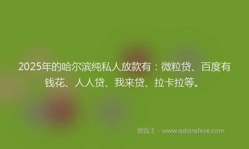 2025年的哈尔滨纯私人放款有：微粒贷、百度有钱花、人人贷、我来贷、拉卡拉等。