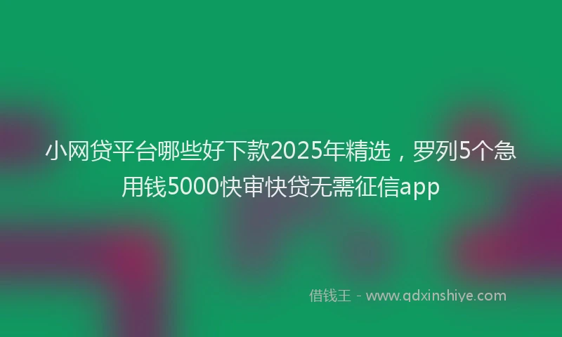 小网贷平台哪些好下款2025年精选，罗列5个急用钱5000快审快贷无需征信app