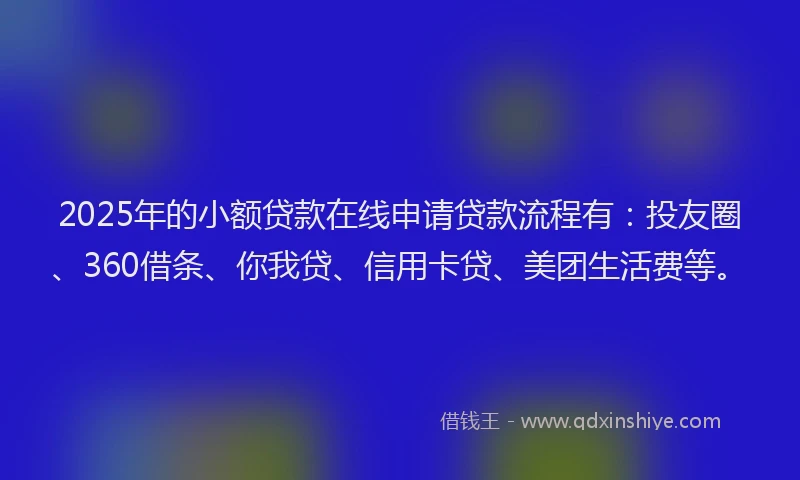 2025年的小额贷款在线申请贷款流程有：投友圈、360借条、你我贷、信用卡贷、美团生活费等。