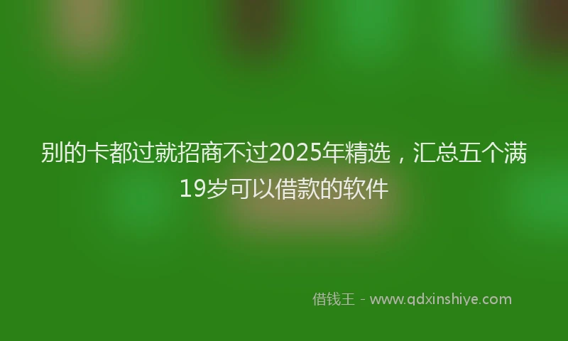 别的卡都过就招商不过2025年精选，汇总五个满19岁可以借款的软件