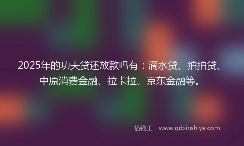 2025年的功夫贷还放款吗有：滴水贷、拍拍贷、中原消费金融、拉卡拉、京东金融等。
