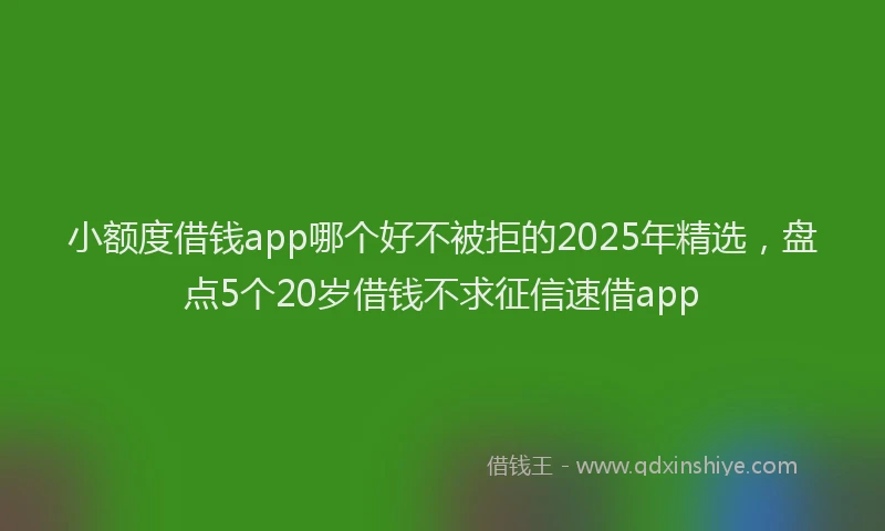 小额度借钱app哪个好不被拒的2025年精选，盘点5个20岁借钱不求征信速借app