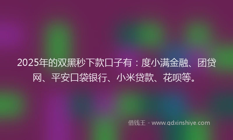 2025年的双黑秒下款口子有：度小满金融、团贷网、平安口袋银行、小米贷款、花呗等。