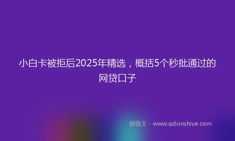 小白卡被拒后2025年精选，概括5个秒批通过的网贷口子