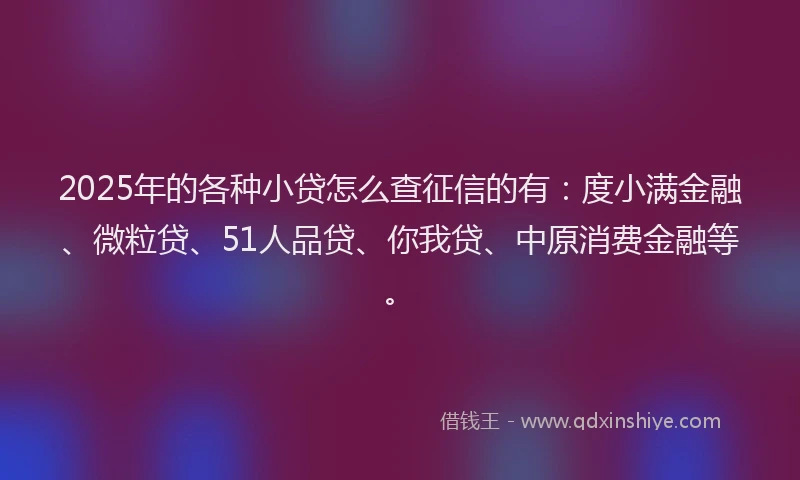 2025年的各种小贷怎么查征信的有：度小满金融、微粒贷、51人品贷、你我贷、中原消费金融等。