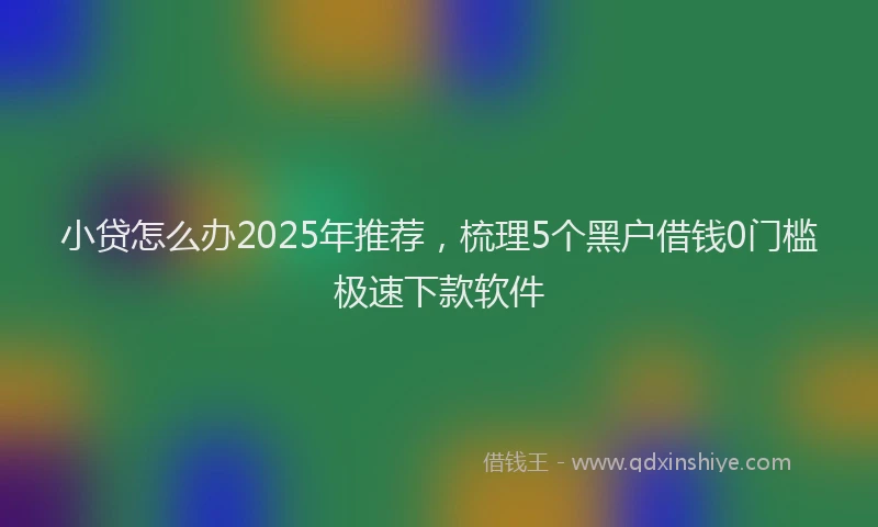 小贷怎么办2025年推荐，梳理5个黑户借钱0门槛极速下款软件