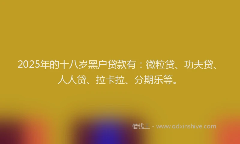 2025年的十八岁黑户贷款有：微粒贷、功夫贷、人人贷、拉卡拉、分期乐等。