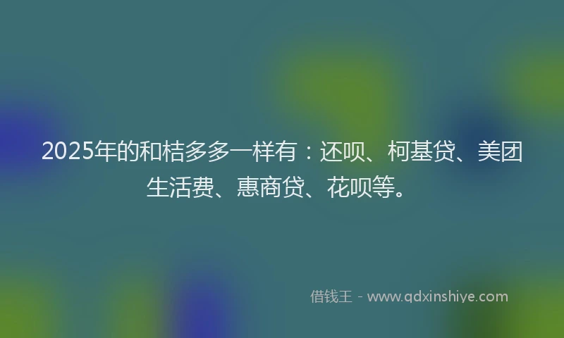 2025年的和桔多多一样有：还呗、柯基贷、美团生活费、惠商贷、花呗等。