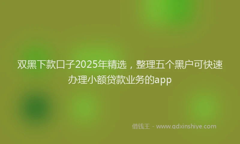 双黑下款口子2025年精选，整理五个黑户可快速办理小额贷款业务的app