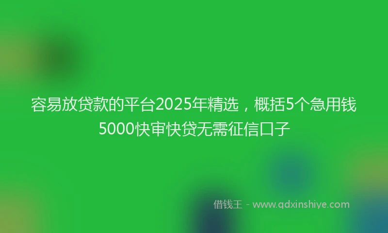 容易放贷款的平台2025年精选，概括5个急用钱5000快审快贷无需征信口子