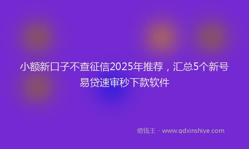 小额新口子不查征信2025年推荐，汇总5个新号易贷速审秒下款软件