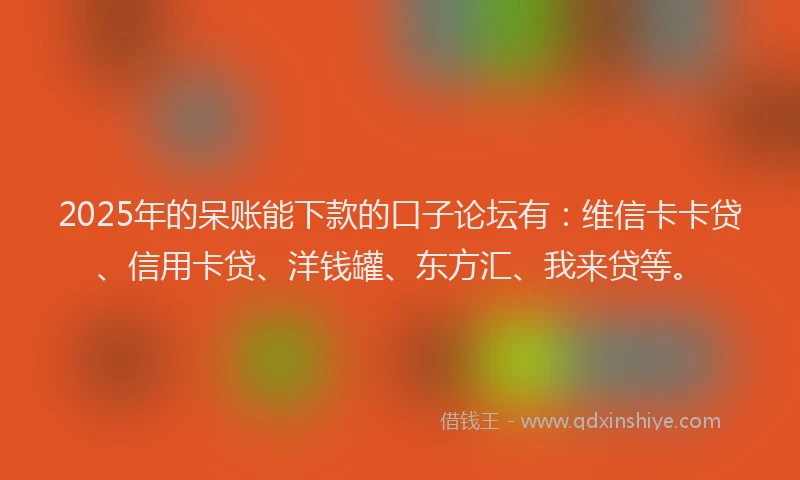 2025年的呆账能下款的口子论坛有：维信卡卡贷、信用卡贷、洋钱罐、东方汇、我来贷等。