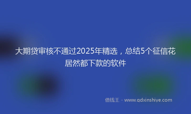大期贷审核不通过2025年精选，总结5个征信花居然都下款的软件