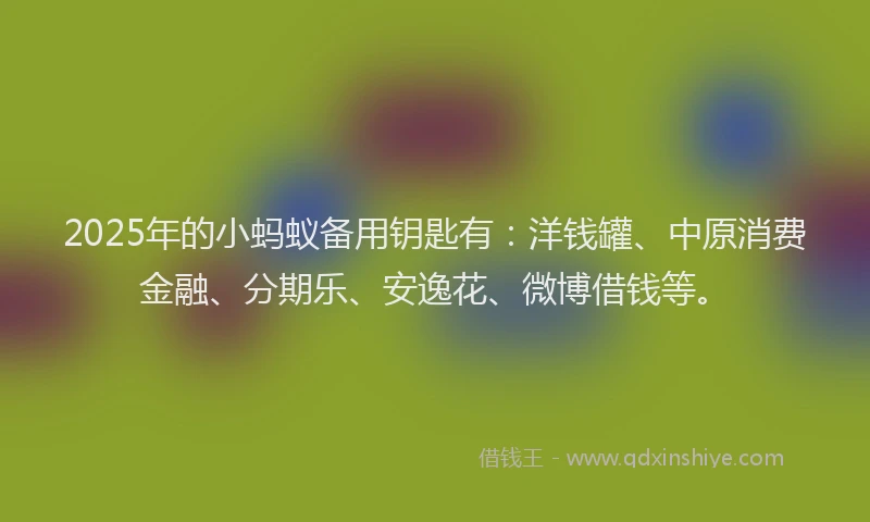2025年的小蚂蚁备用钥匙有：洋钱罐、中原消费金融、分期乐、安逸花、微博借钱等。