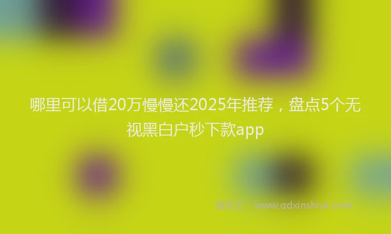 哪里可以借20万慢慢还2025年推荐，盘点5个无视黑白户秒下款app
