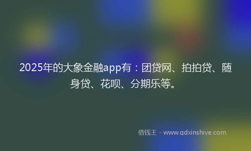 2025年的大象金融app有：团贷网、拍拍贷、随身贷、花呗、分期乐等。