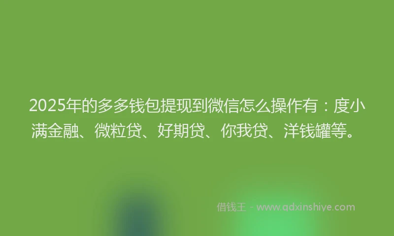 2025年的多多钱包提现到微信怎么操作有：度小满金融、微粒贷、好期贷、你我贷、洋钱罐等。