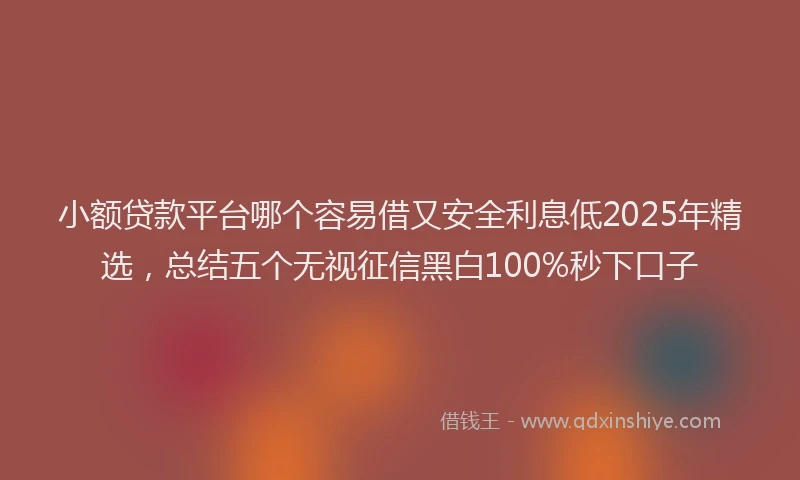 小额贷款平台哪个容易借又安全利息低2025年精选，总结五个无视征信黑白100%秒下口子