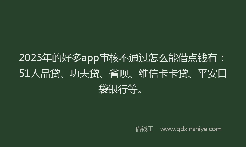 2025年的好多app审核不通过怎么能借点钱有：51人品贷、功夫贷、省呗、维信卡卡贷、平安口袋银行等。