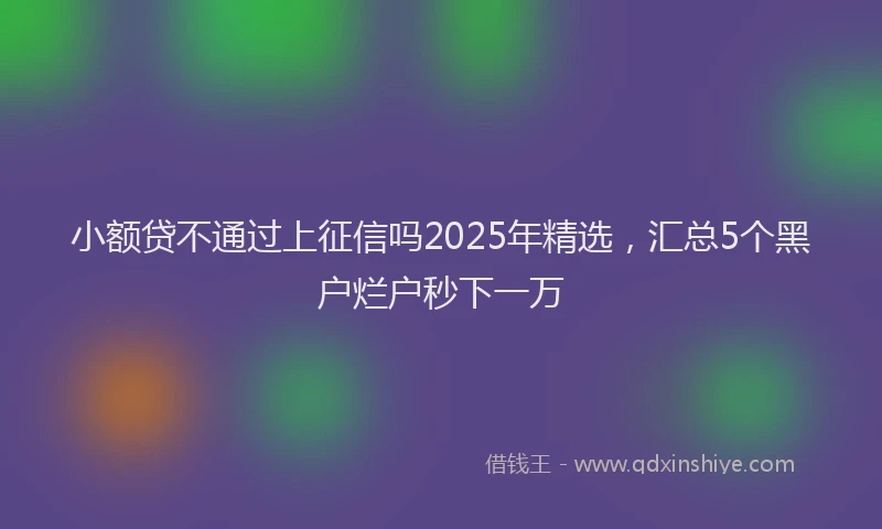 小额贷不通过上征信吗2025年精选，汇总5个黑户烂户秒下一万