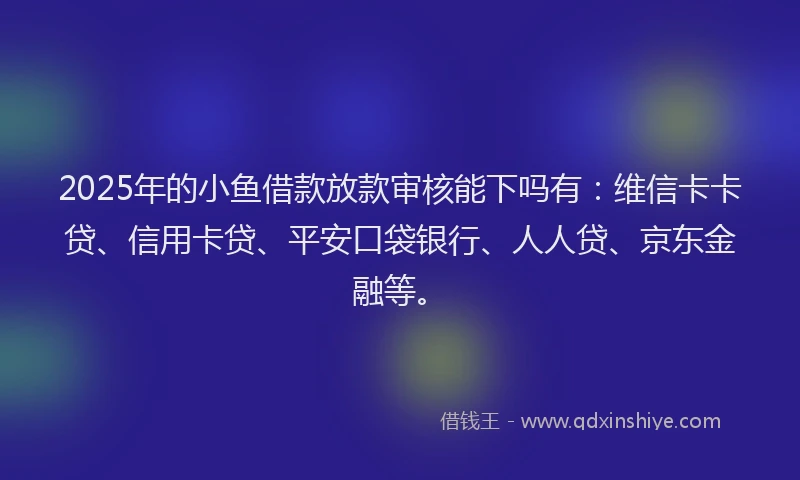 2025年的小鱼借款放款审核能下吗有：维信卡卡贷、信用卡贷、平安口袋银行、人人贷、京东金融等。