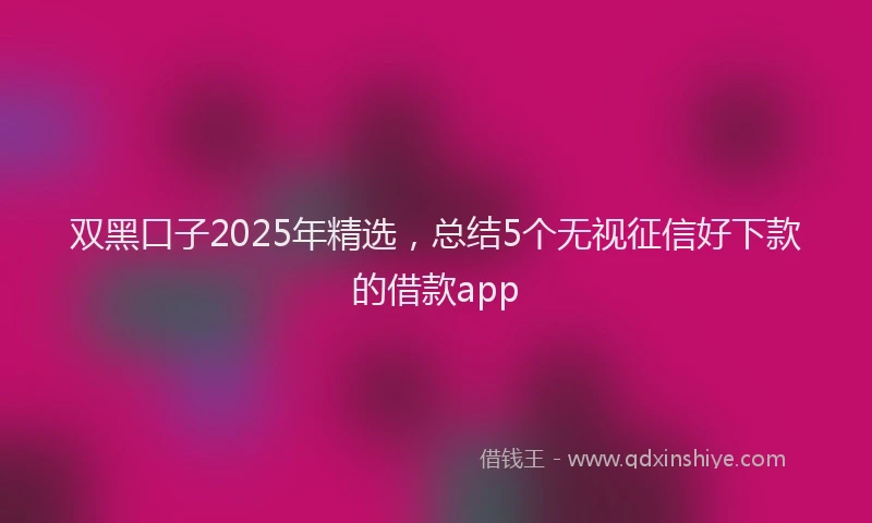 双黑口子2025年精选，总结5个无视征信好下款的借款app