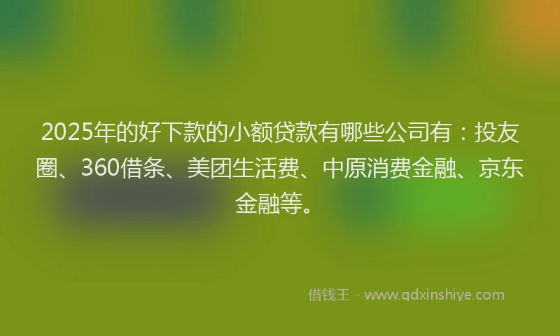 2025年的好下款的小额贷款有哪些公司有：投友圈、360借条、美团生活费、中原消费金融、京东金融等。