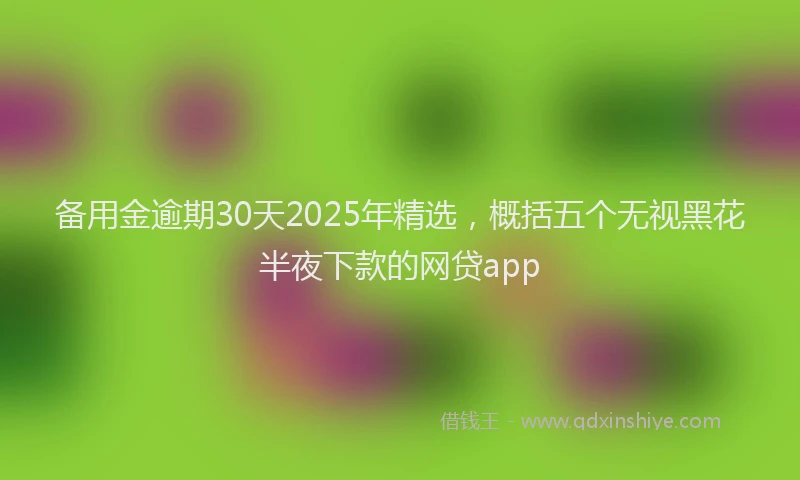 备用金逾期30天2025年精选，概括五个无视黑花半夜下款的网贷app