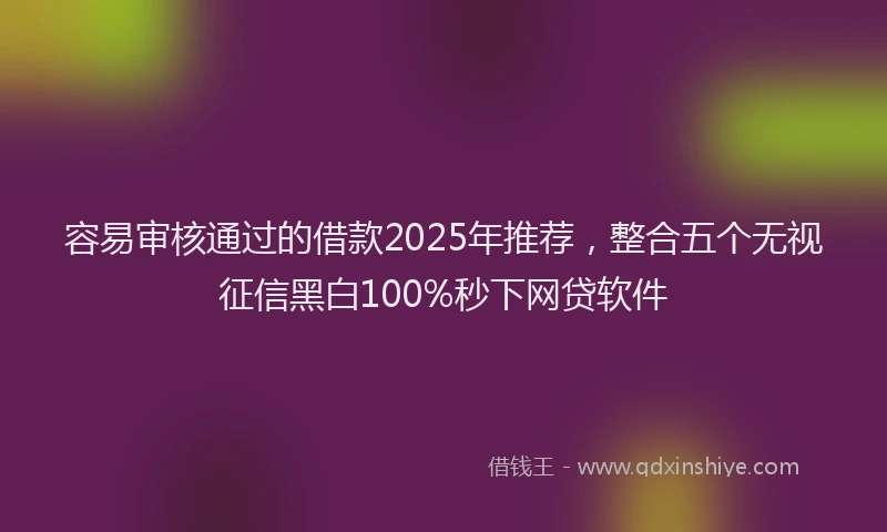容易审核通过的借款2025年推荐，整合五个无视征信黑白100%秒下网贷软件
