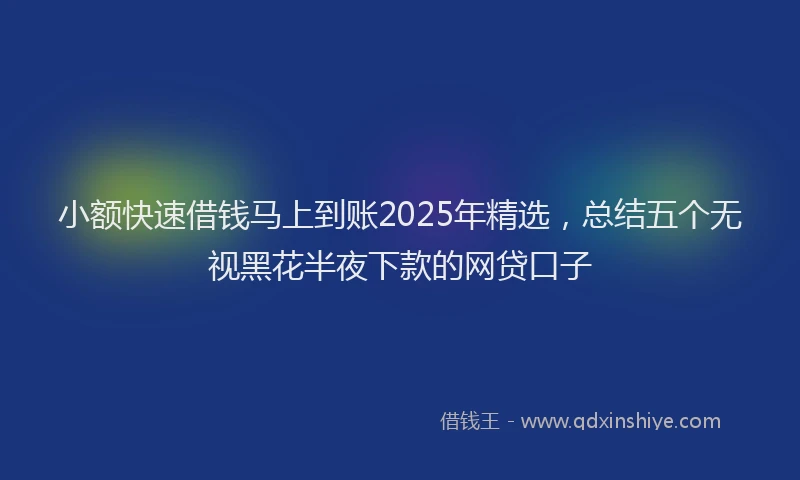 小额快速借钱马上到账2025年精选，总结五个无视黑花半夜下款的网贷口子