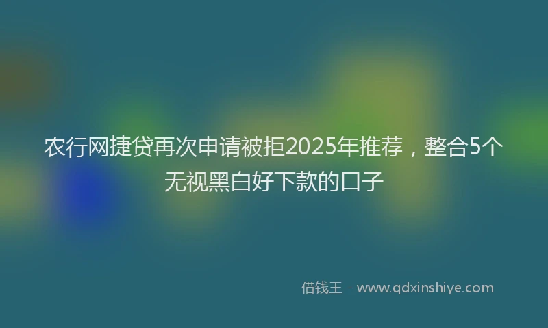 农行网捷贷再次申请被拒2025年推荐，整合5个无视黑白好下款的口子
