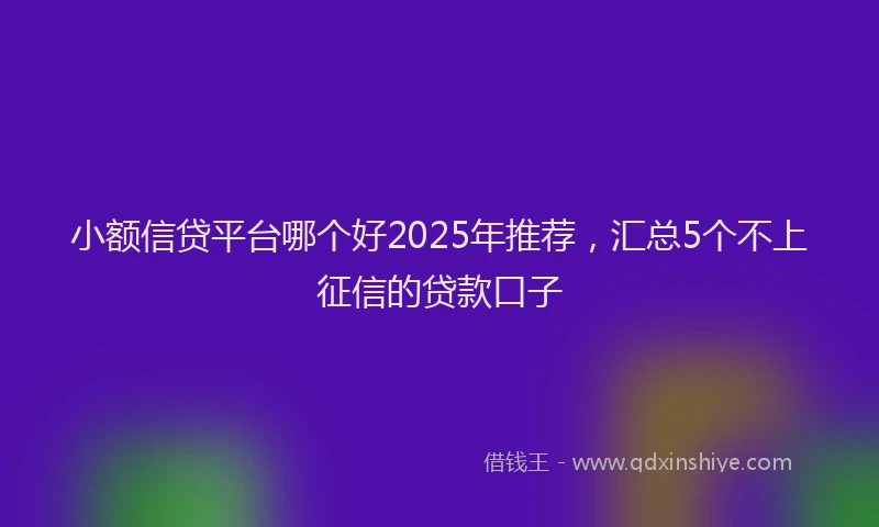 小额信贷平台哪个好2025年推荐，汇总5个不上征信的贷款口子