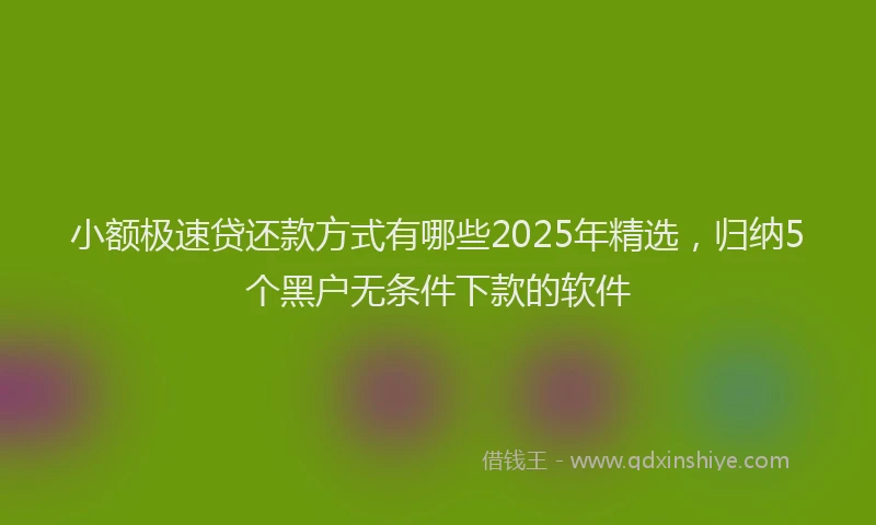 小额极速贷还款方式有哪些2025年精选，归纳5个黑户无条件下款的软件