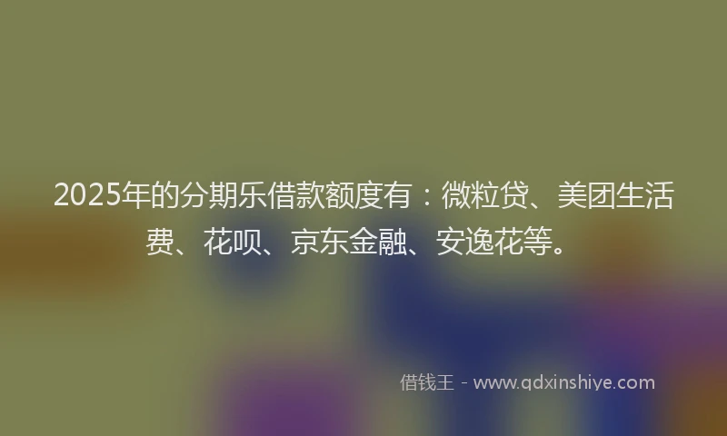 2025年的分期乐借款额度有：微粒贷、美团生活费、花呗、京东金融、安逸花等。