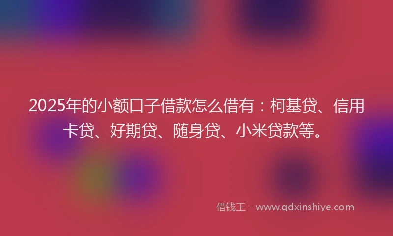 2025年的小额口子借款怎么借有：柯基贷、信用卡贷、好期贷、随身贷、小米贷款等。