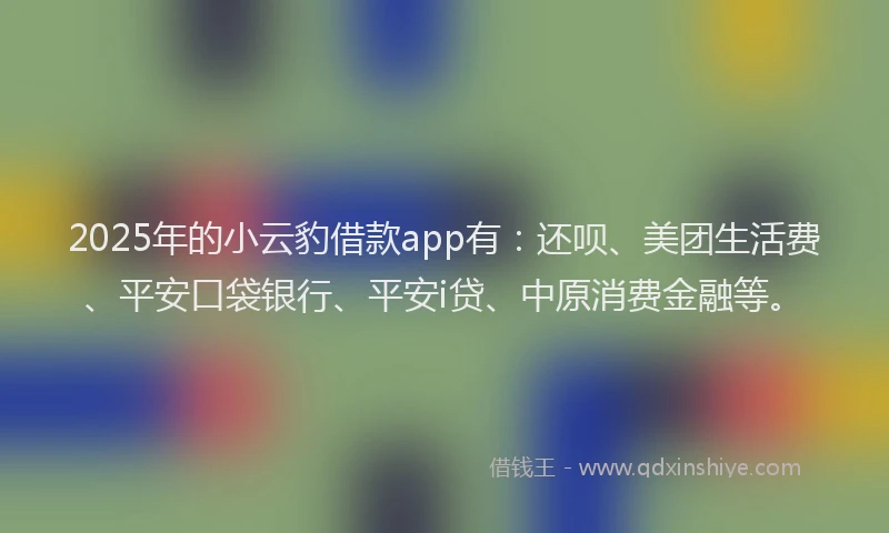 2025年的小云豹借款app有：还呗、美团生活费、平安口袋银行、平安i贷、中原消费金融等。