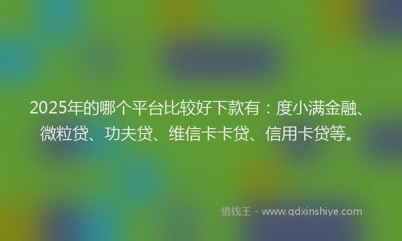 2025年的哪个平台比较好下款有：度小满金融、微粒贷、功夫贷、维信卡卡贷、信用卡贷等。