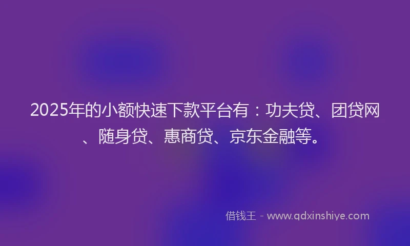 2025年的小额快速下款平台有：功夫贷、团贷网、随身贷、惠商贷、京东金融等。
