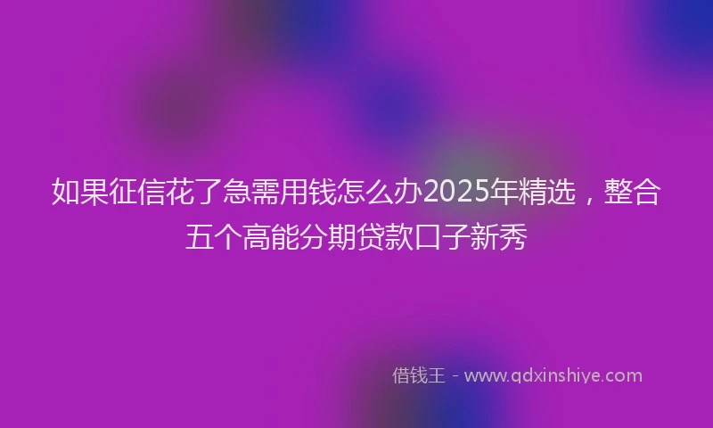 如果征信花了急需用钱怎么办2025年精选，整合五个高能分期贷款口子新秀